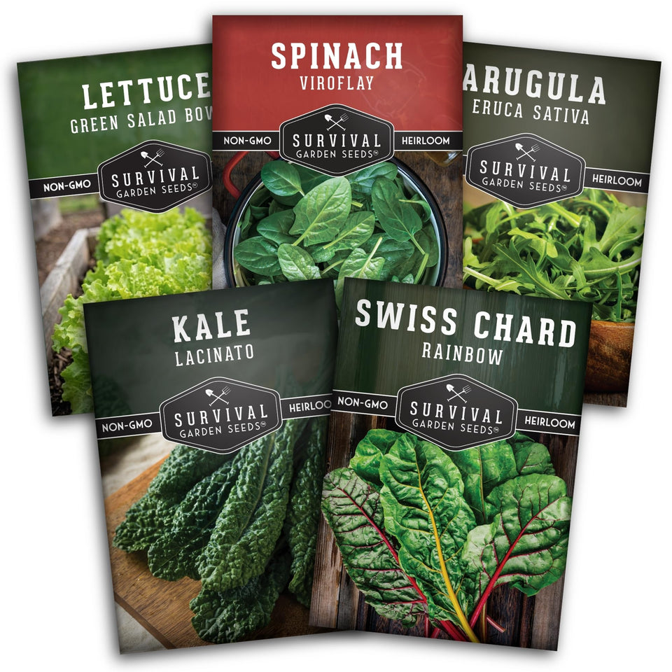 Survival Garden Seeds spinach leaves for fresh home harvests and quick salads
