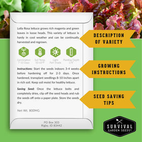 Survival Garden Seeds Green Salad Bowl lettuce leaves for light meals.
