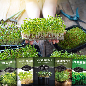 SURVIVAL GARDEN SEEDS lettuce microgreens seeds great for vibrant sandwich toppers