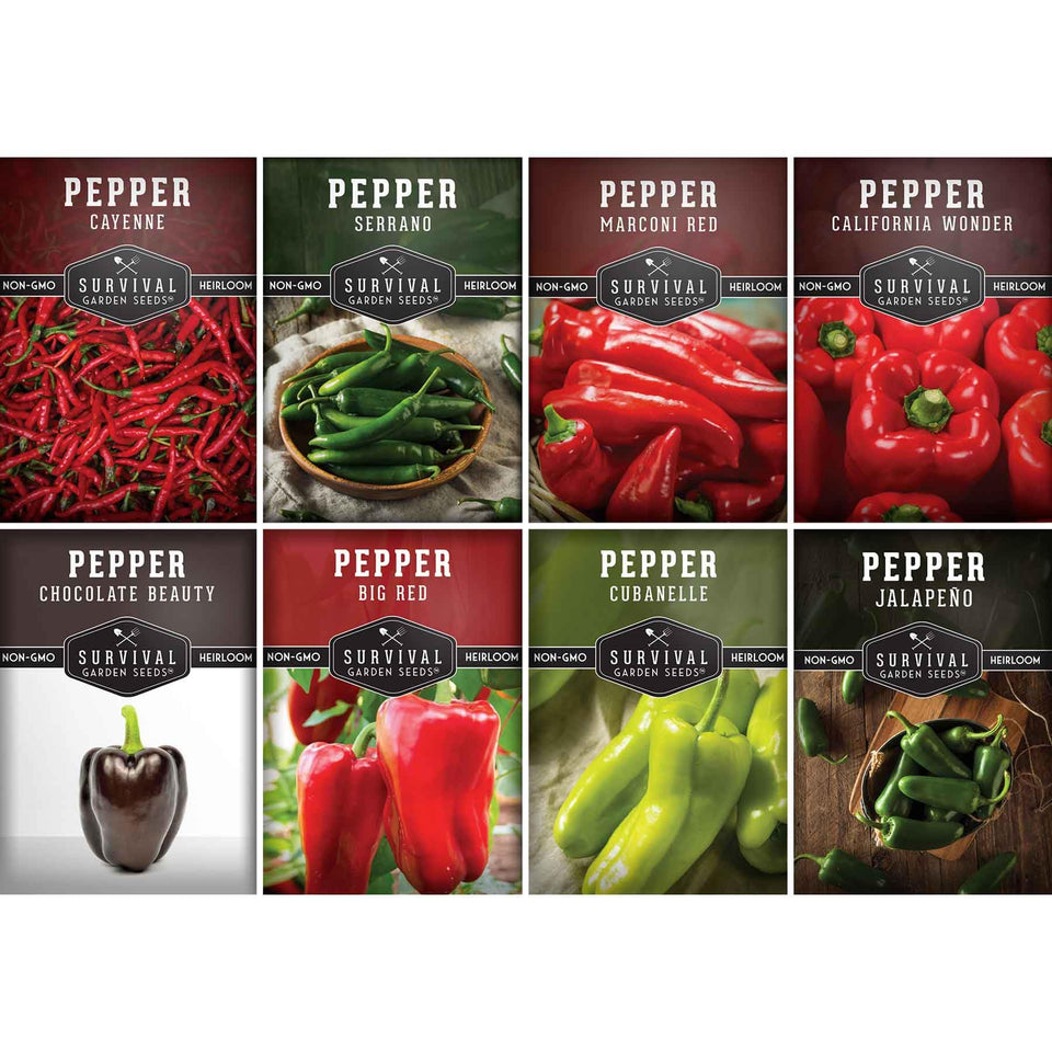 SURVIVAL GARDEN SEEDS Marconi Red peppers on plant, ideal for fresh home cooking.