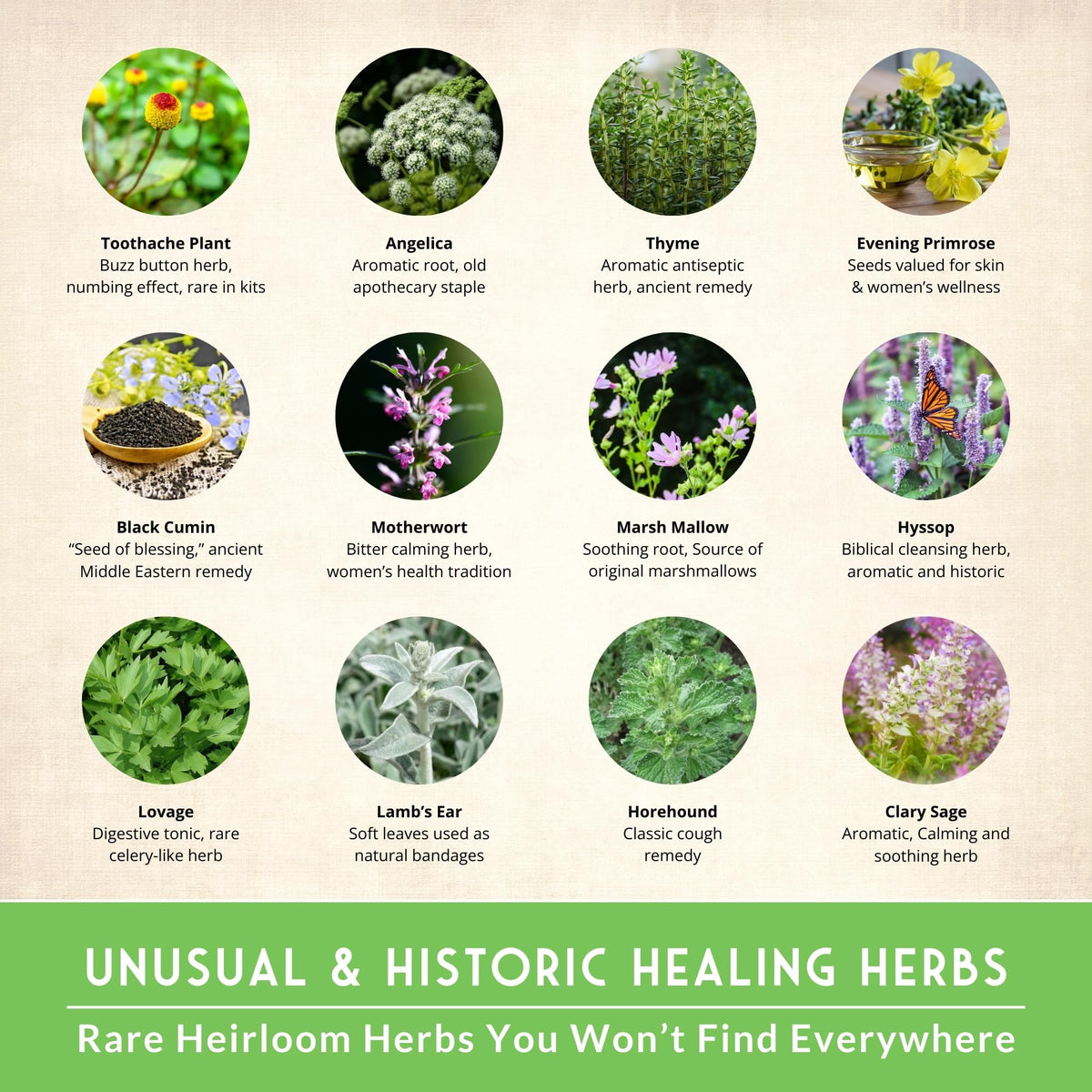 Survival Garden Seeds image 2 highlights easy-to-start seeds for beginners and garden-ready plots.