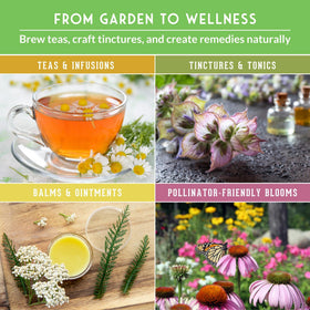 Survival Garden Seeds image 4 features tea-friendly herbs ready to harvest.