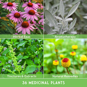 Survival Garden Seeds image 5 showcases rare herbalist plants for collection.