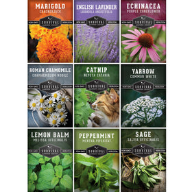 Survival Garden Seeds medicinal tea herbs pack for nine varieties of infusion-ready plants