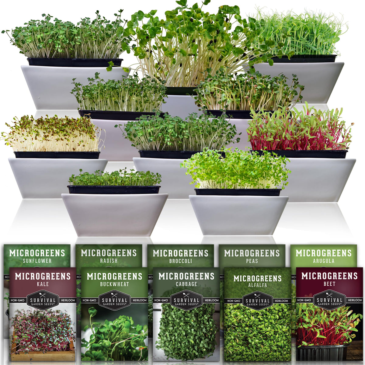 Survival Garden Seeds microgreen variety pack ready for quick indoor harvest.