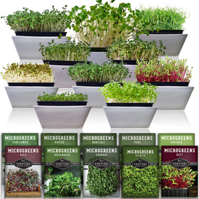 Survival Garden Seeds microgreen variety pack ready for quick indoor harvest.