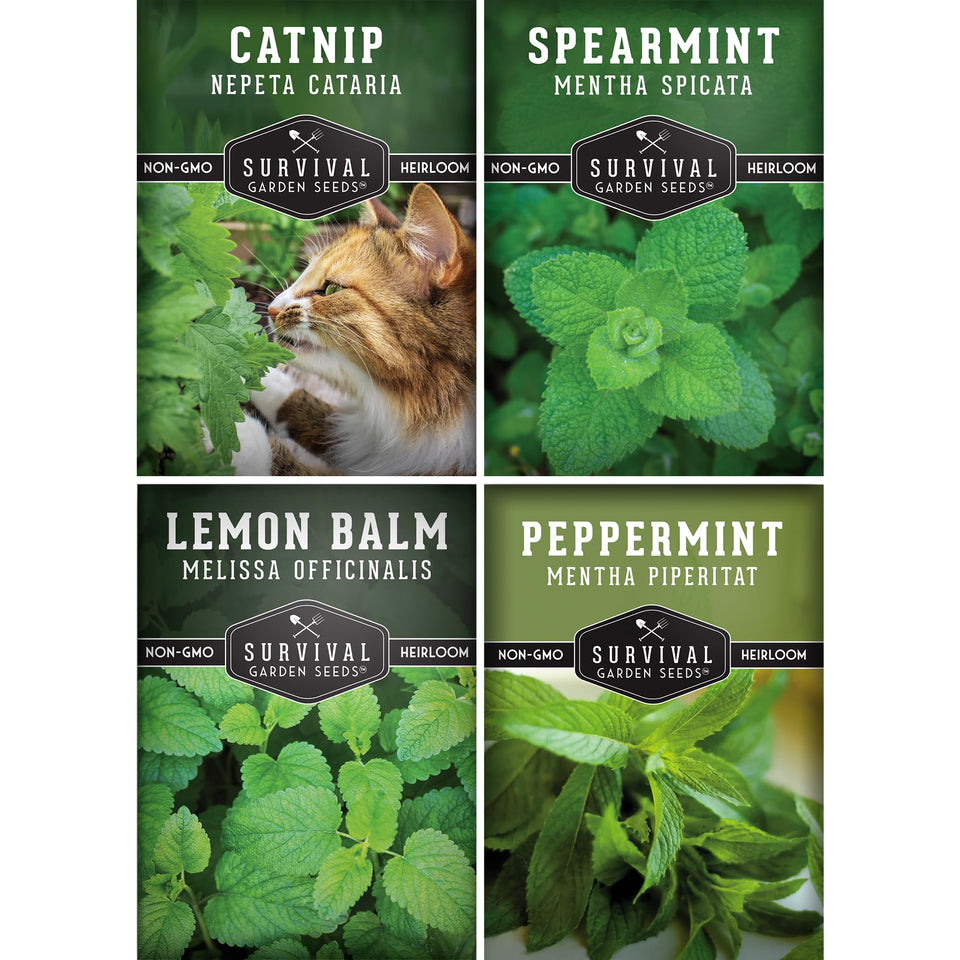SURVIVAL GARDEN SEEDS Mint Collection seeds in packets, easy-to-grow for indoor or outdoor herb gardens.