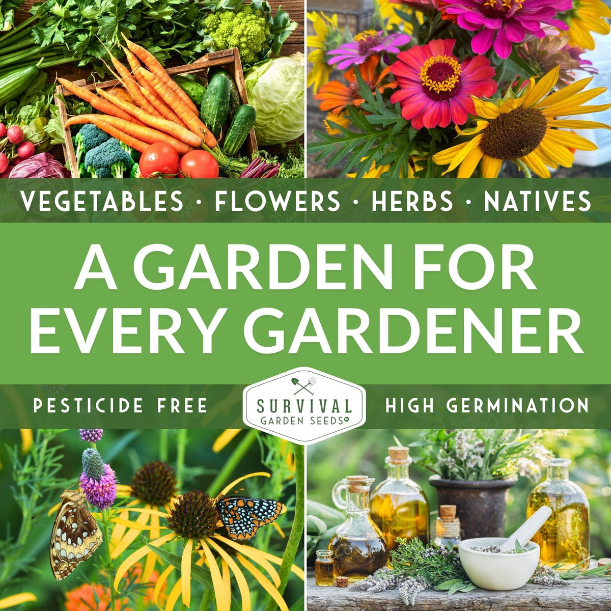 SURVIVAL GARDEN SEEDS Muncher cucumber seeds thrive in containers for compact garden setups