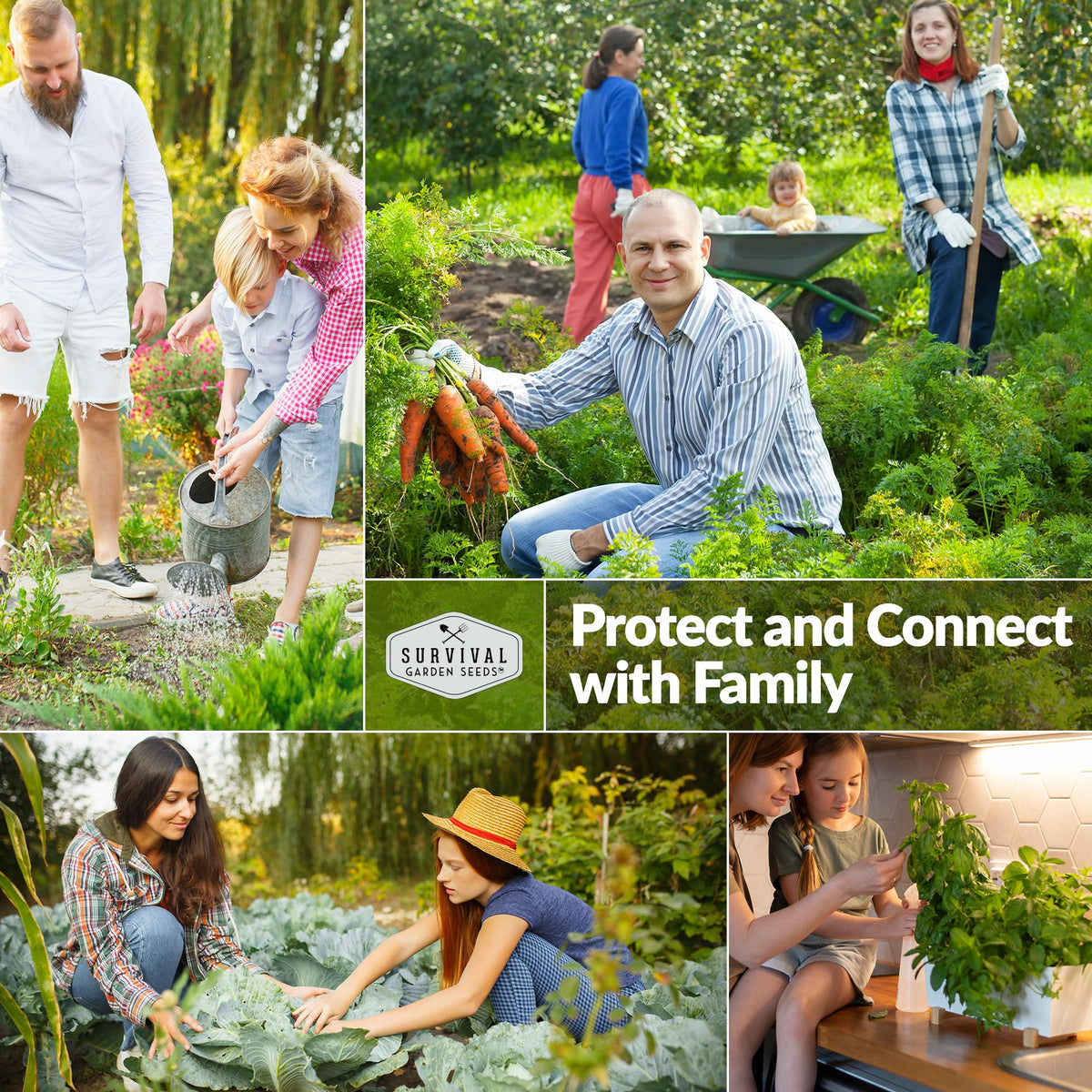 SURVIVAL GARDEN SEEDS Muncher cucumber seeds yield high vines for abundant harvests