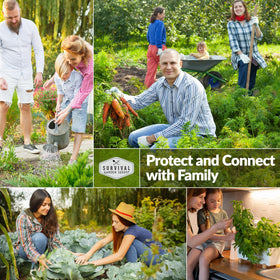 SURVIVAL GARDEN SEEDS Muncher cucumber seeds yield high vines for abundant harvests
