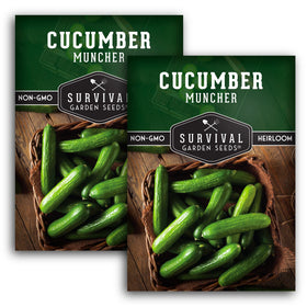 SURVIVAL GARDEN SEEDS Muncher cucumber seeds for planting, ideal for quick garden setup