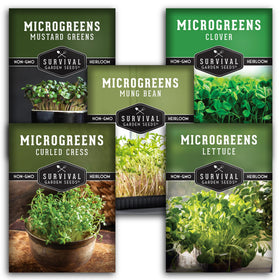 SURVIVAL GARDEN SEEDS mustard microgreens seeds for crisp, flavorful salads
