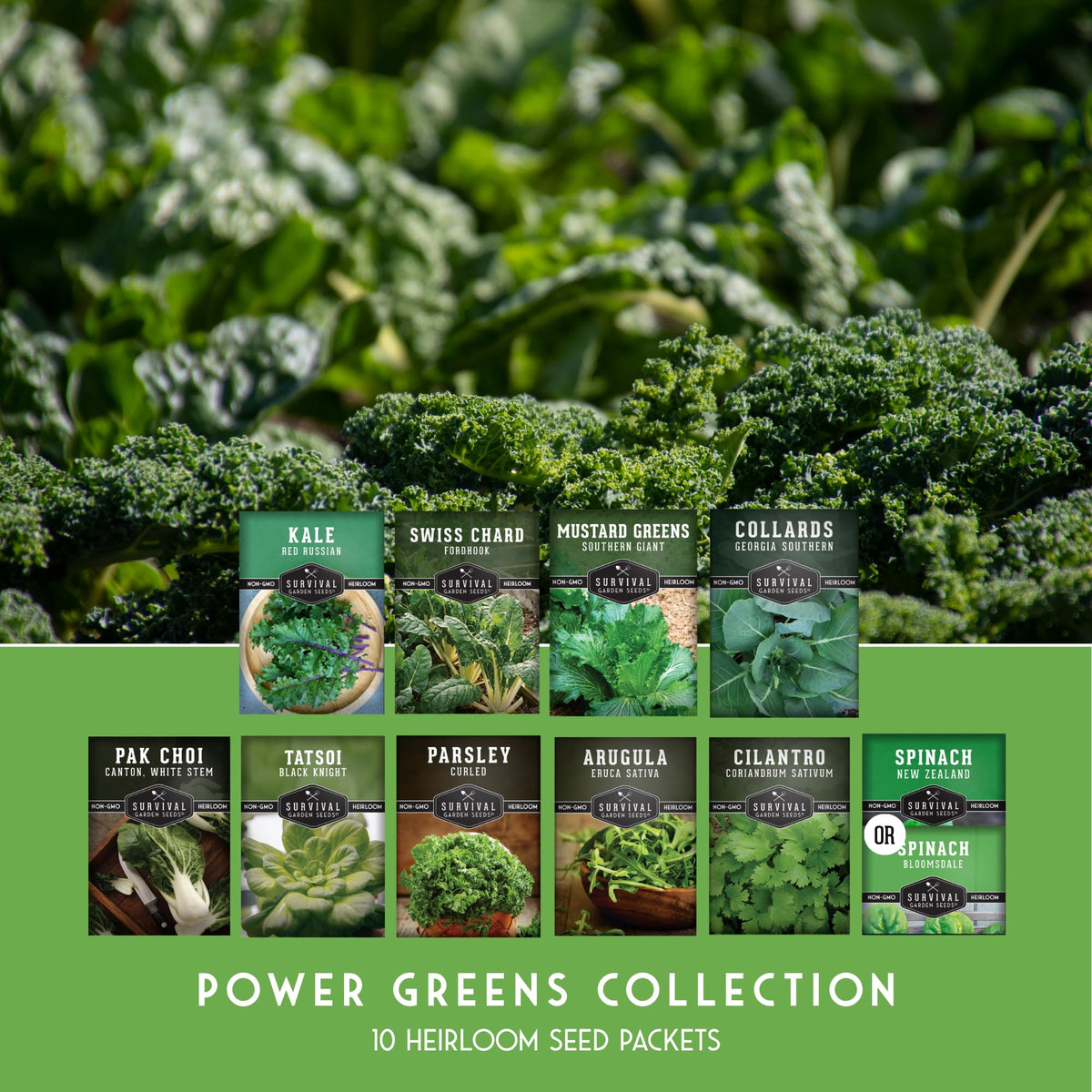 Survival Garden Seeds mustard greens seeds for crisp, peppery servings.