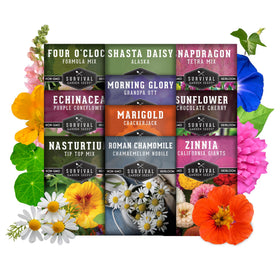 SURVIVAL GARDEN SEEDS Nasturtium seeds offer edible petals for salads