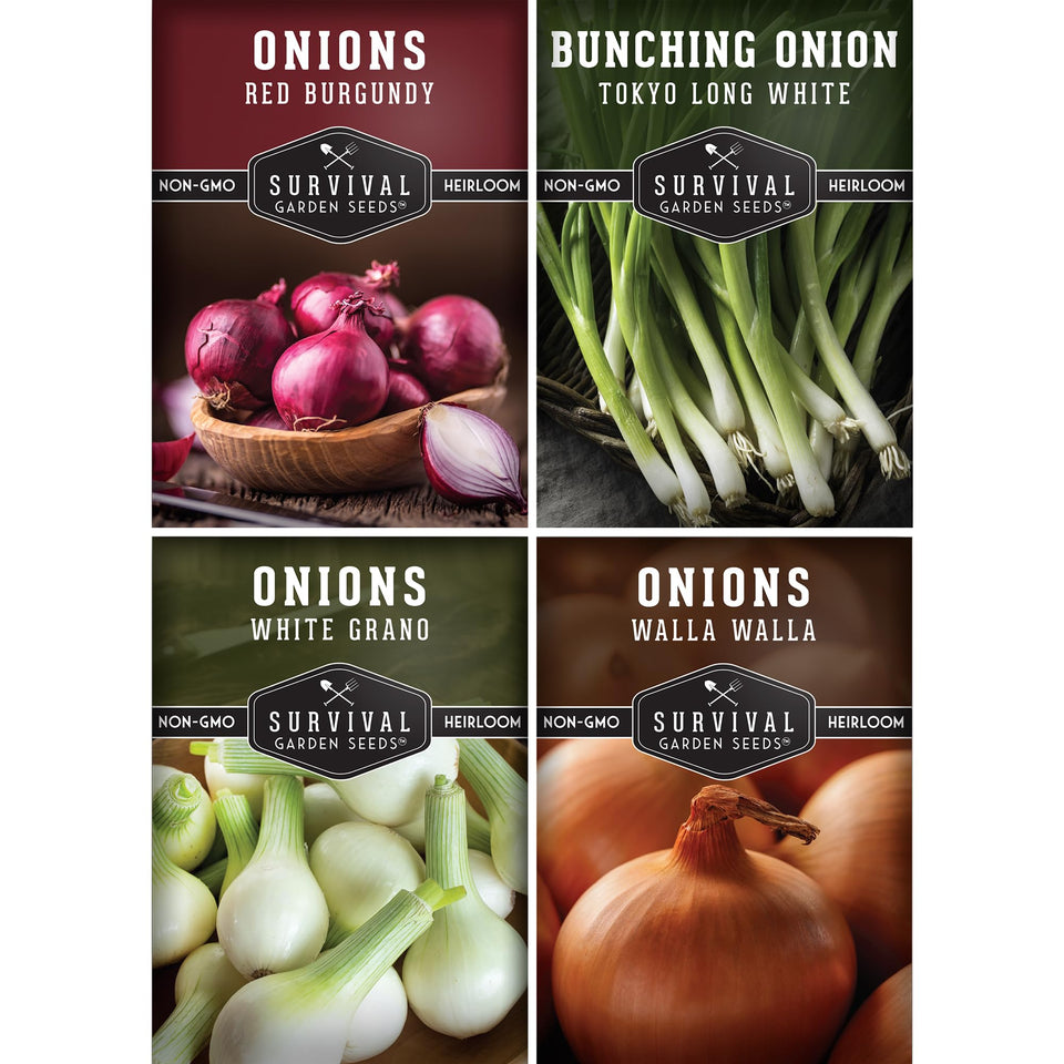 SURVIVAL GARDEN SEEDS onion seeds four-variety collection with bunching onion packet for fresh greens.