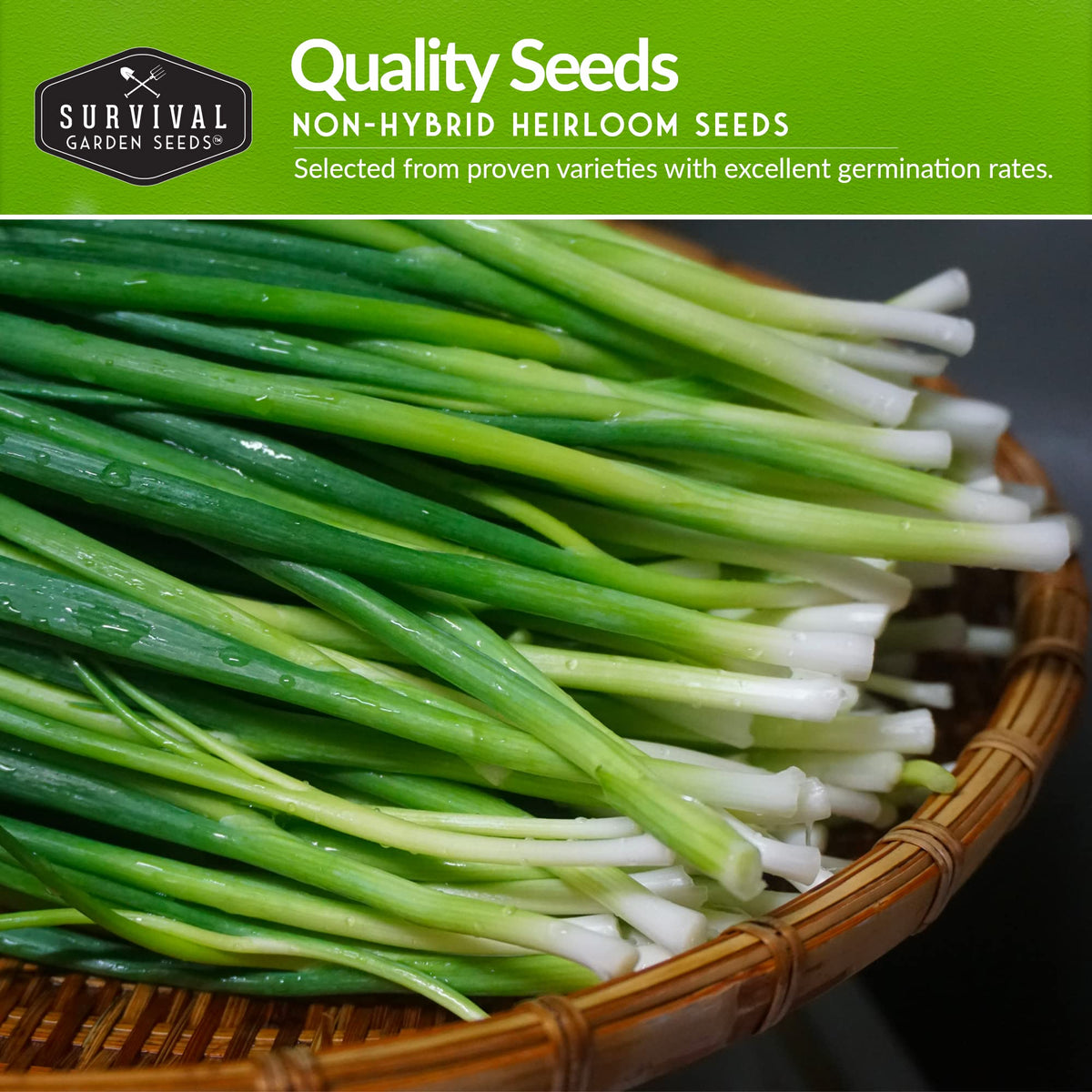 SURVIVAL GARDEN SEEDS white-grano onion packet highlighting mild flavor for everyday cooking.
