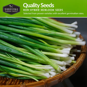 SURVIVAL GARDEN SEEDS white-grano onion packet highlighting mild flavor for everyday cooking.