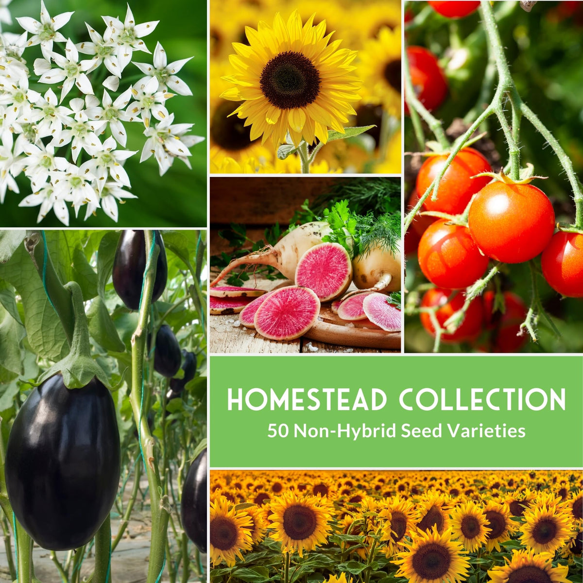 SURVIVAL GARDEN SEEDS Open-pollinated heirloom varieties for continuous harvests.