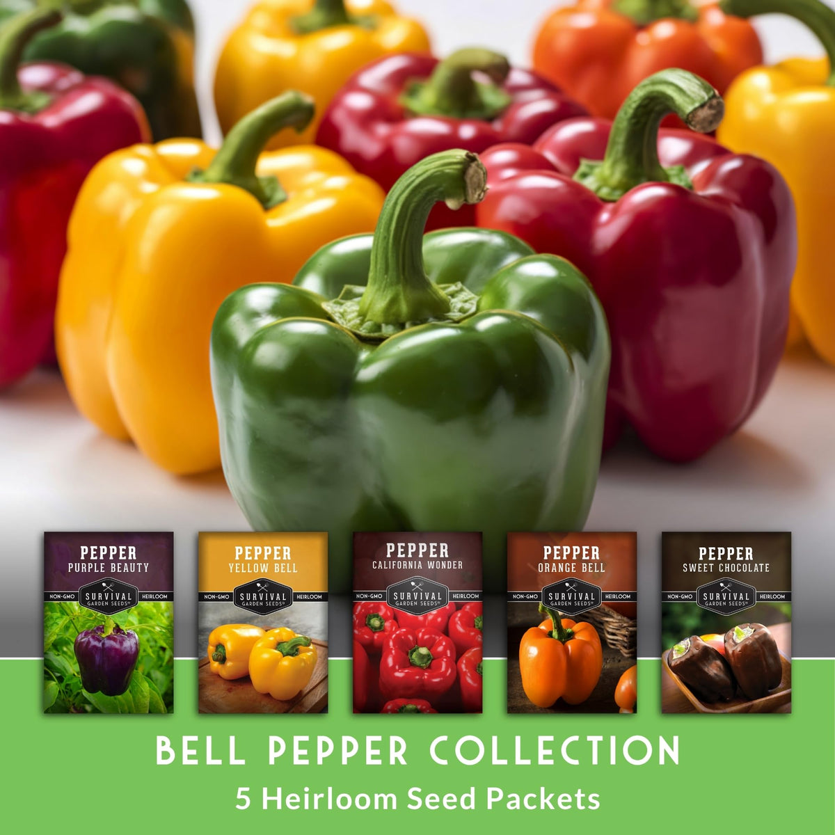 SURVIVAL GARDEN SEEDS orange bell pepper fruit, perfect for vibrant sautés and stuffing