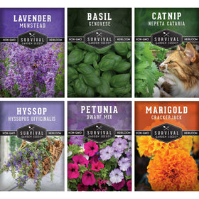 SURVIVAL GARDEN SEEDS lavender seeds for fragrant, calming blooms.