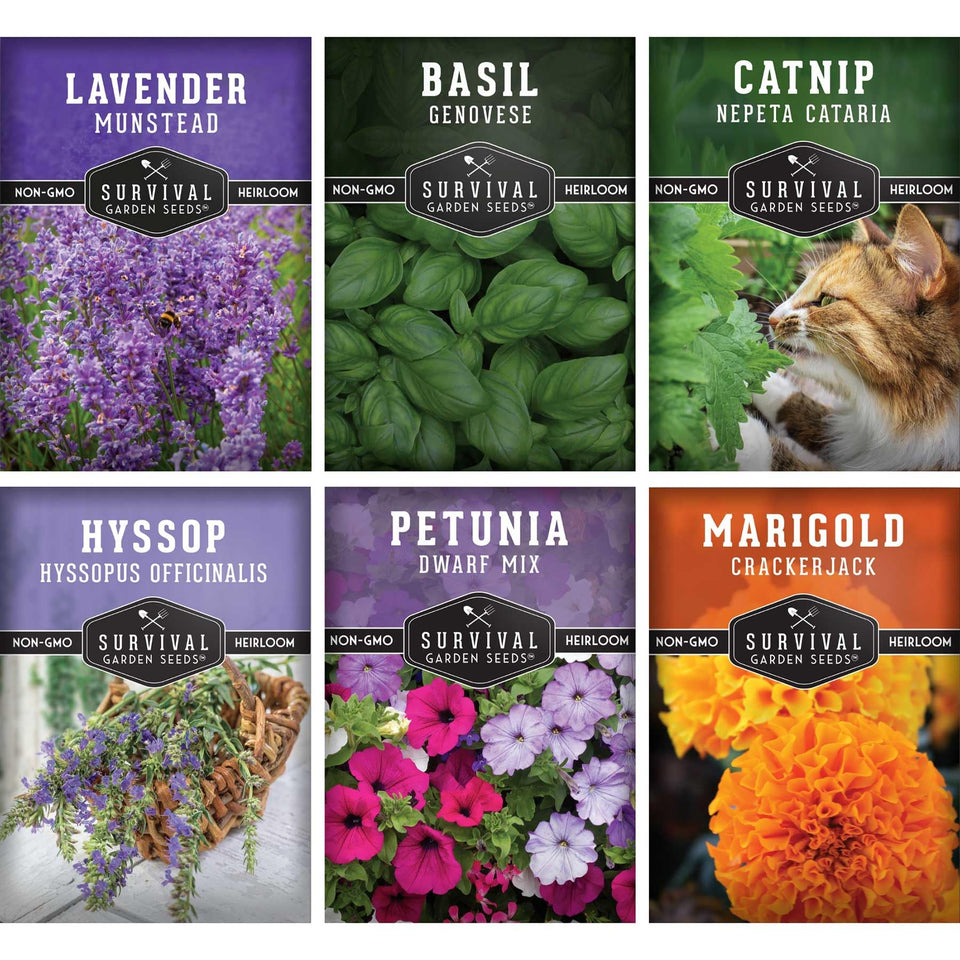 SURVIVAL GARDEN SEEDS lavender seeds for fragrant, calming blooms.