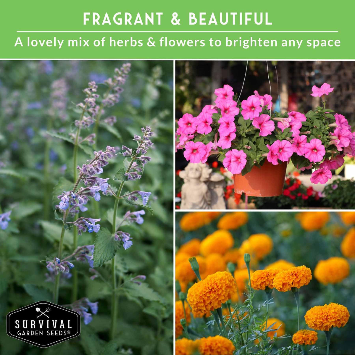 SURVIVAL GARDEN SEEDS marigold seeds add sunny color and moth deterrence.