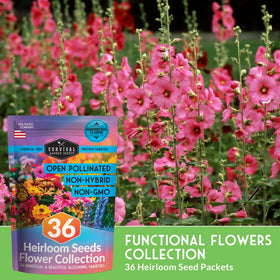 Survival Garden Seeds planting instructions guide for easy bed or container setup