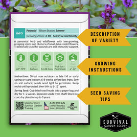 SURVIVAL GARDEN SEEDS Prunella vulgaris flower adds color and habitat in shade borders.