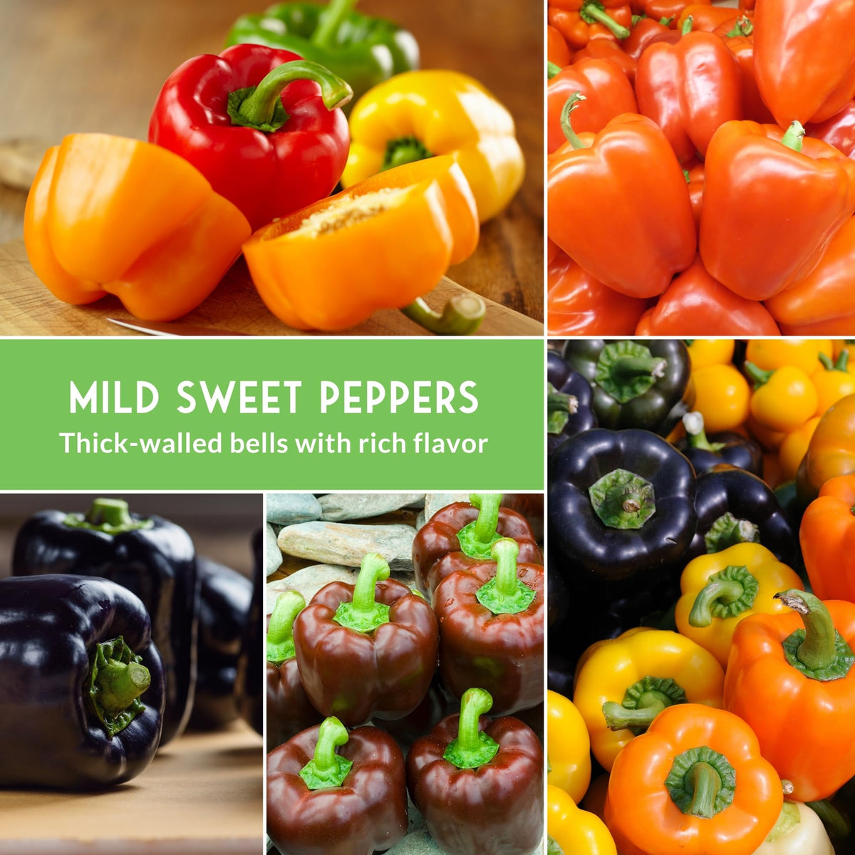 SURVIVAL GARDEN SEEDS purple beauty pepper fruit, adds visual appeal to salads