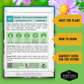 SURVIVAL GARDEN SEEDS purple coneflower bloom—bold drought-tolerant perennial accent