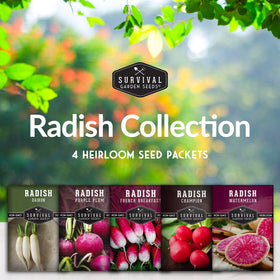 Survival Garden Seeds Watermelon radish packet; crisp, versatile for salads.