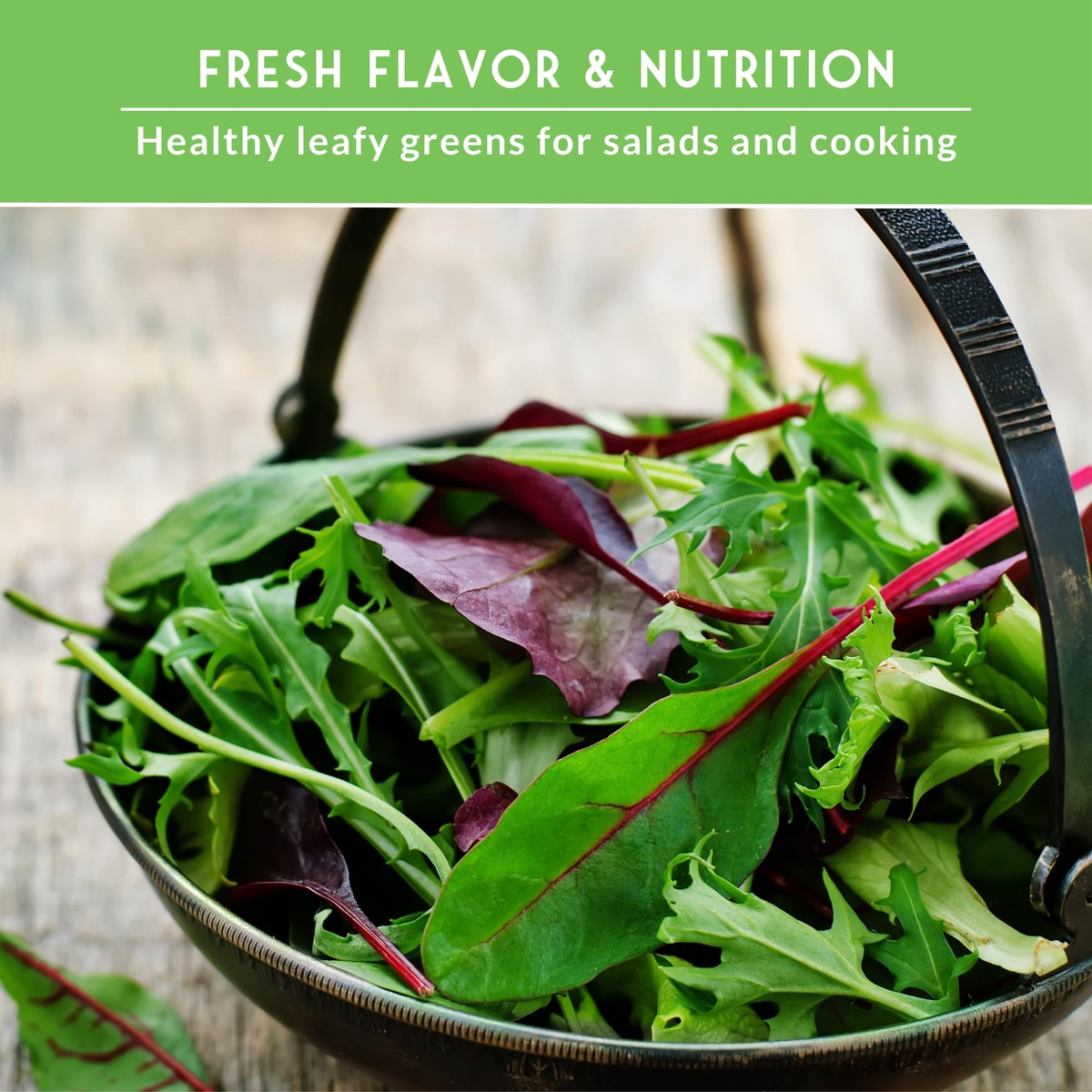 Survival Garden Seeds rainbow Swiss chard for colorful sautéed side dishes
