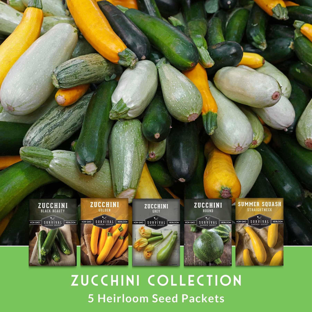 SURVIVAL GARDEN SEEDS Round zucchini growing in bed shows compact yields.