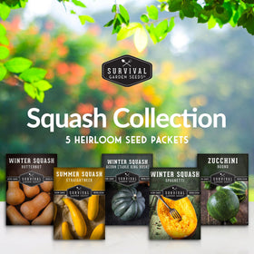 Survival Garden Seeds Round Zucchini seed packet for fresh summer harvest.