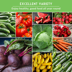 Survival Garden Seeds squash seed vault – versatile harvest for roasting or stews.