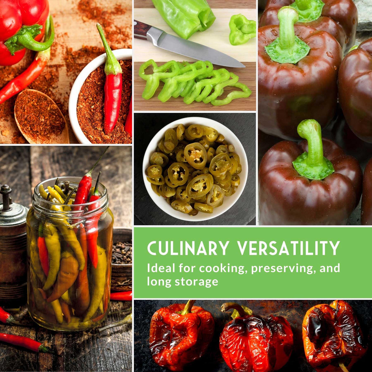 SURVIVAL GARDEN SEEDS Serrano peppers on vines, sharp heat for sauces.