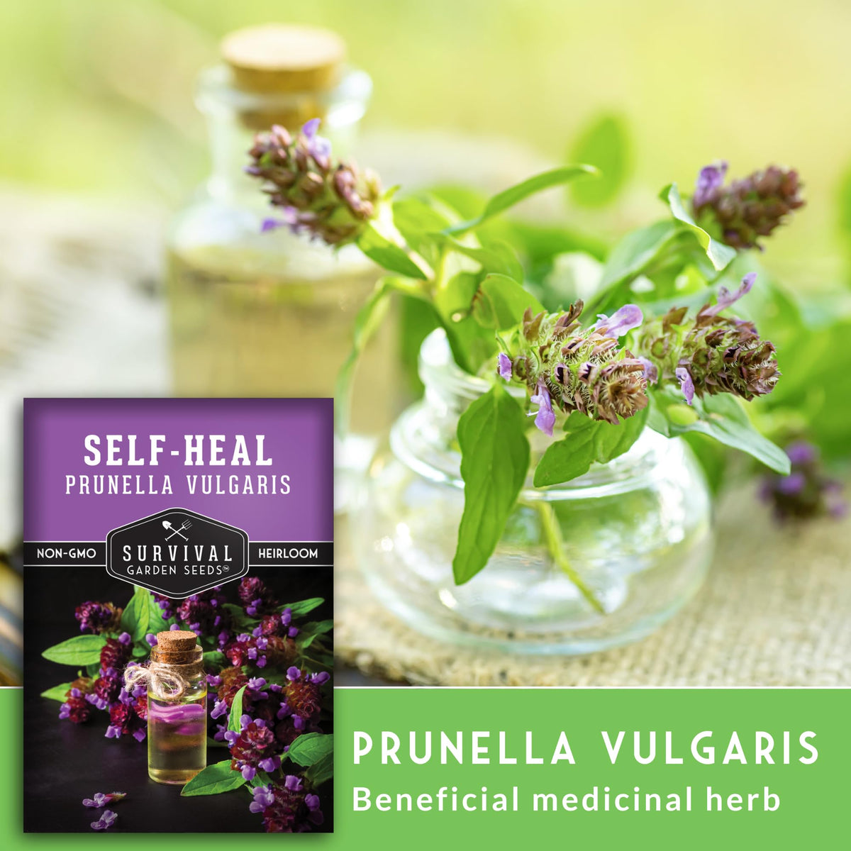 SURVIVAL GARDEN SEEDS Shade-tolerant wildflower thrives in partial sun.