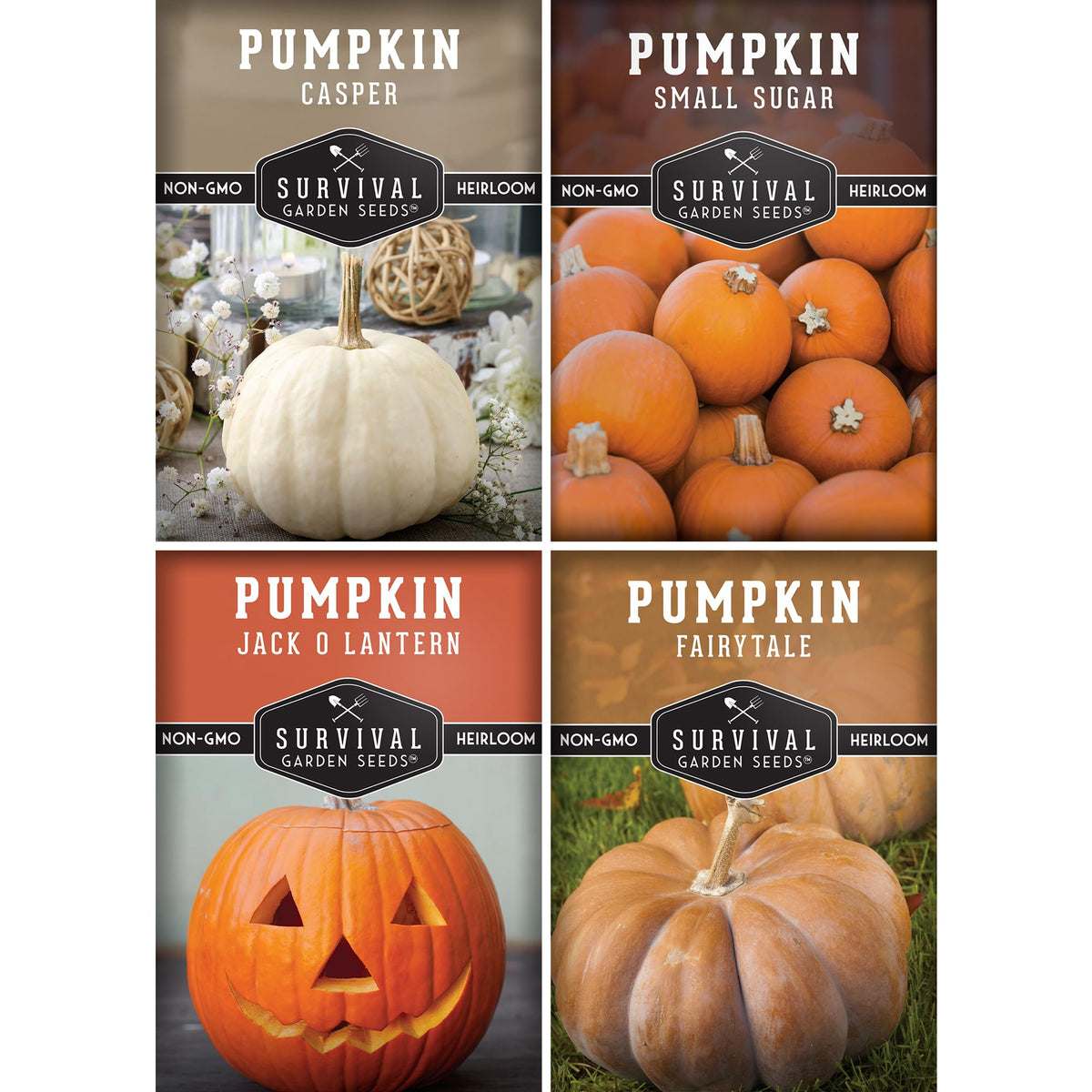 SURVIVAL GARDEN SEEDS small sugar pumpkin seeds for a sweet, reliable fall harvest.