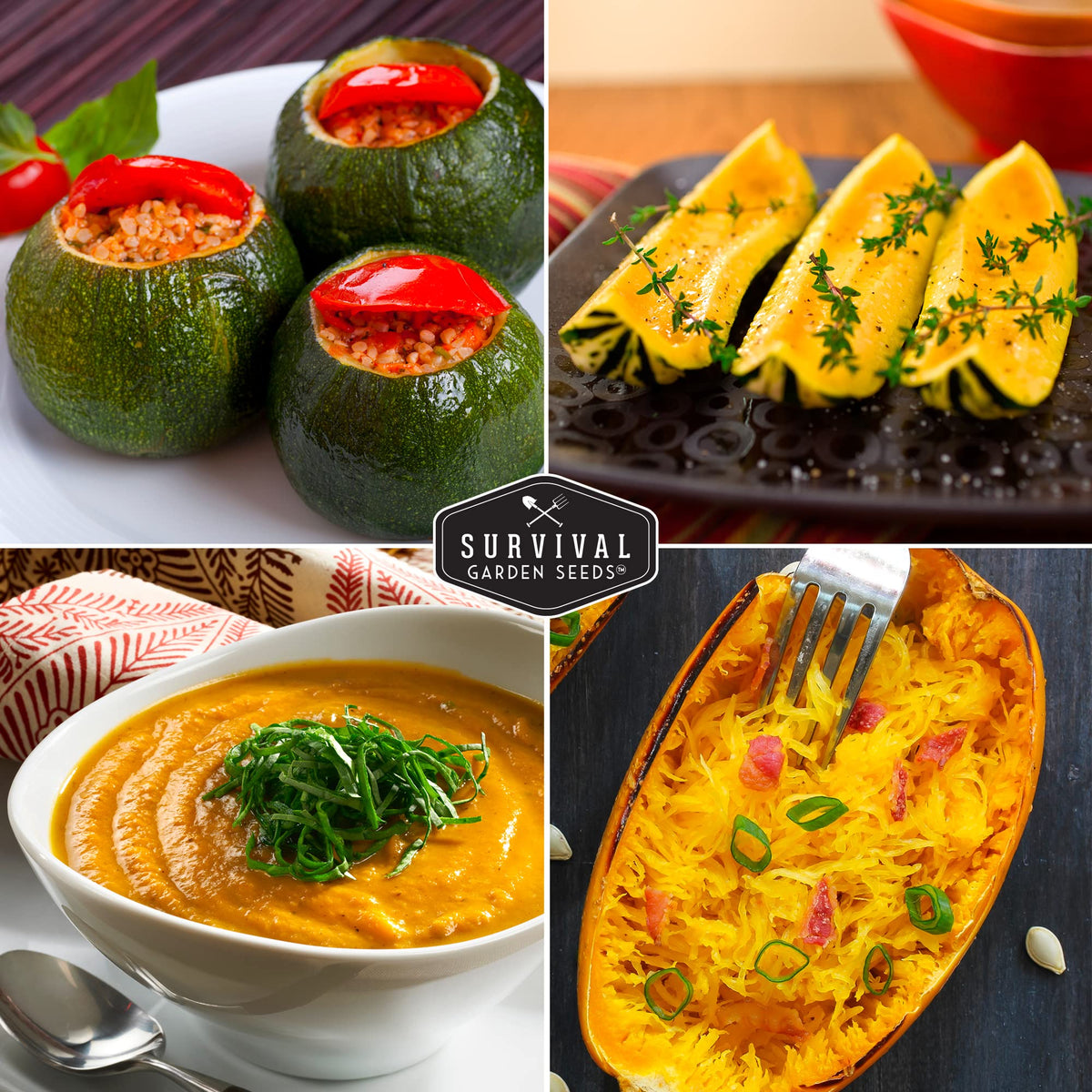 Survival Garden Seeds Spaghetti squash seed packet for versatile pantry meals.