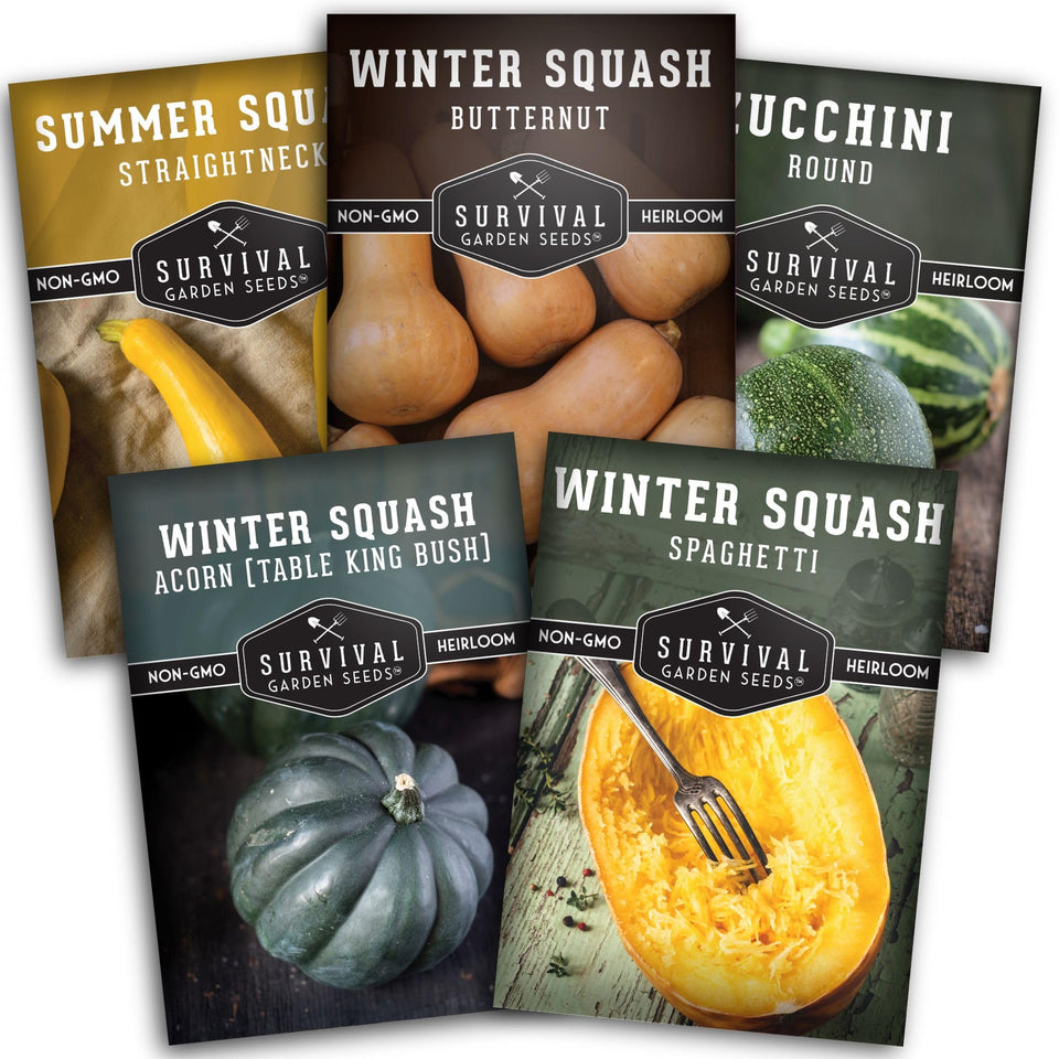 Survival Garden Seeds squash seeds collection pack for a diverse home garden harvest.