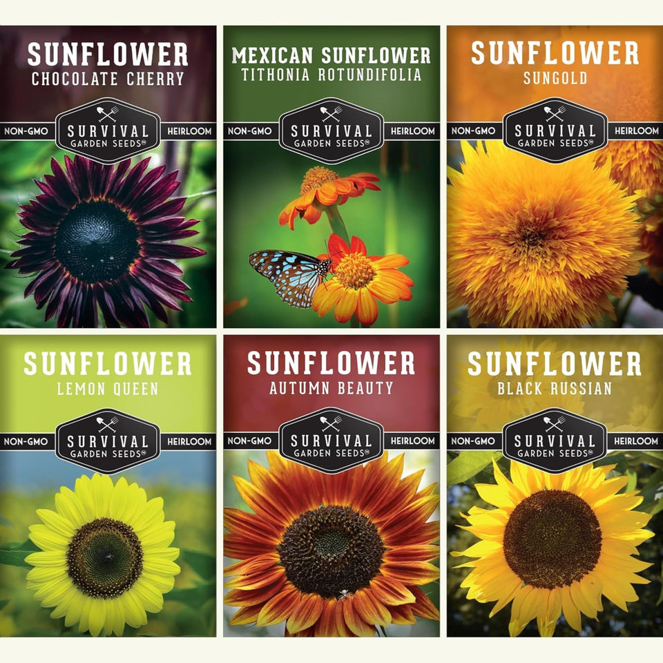Survival Garden Seeds Autumn Beauty in a garden border for color