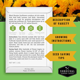 Survival Garden Seeds Black Russian ready for colorful cut flower bouquets