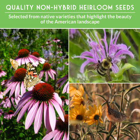 SURVIVAL GARDEN SEEDS swamp milkweed flowers—attracts monarchs and other pollinators