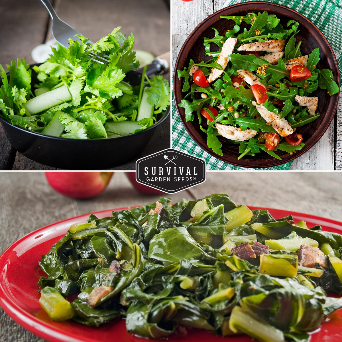 Survival Garden Seeds Swiss chard seeds for colorful stalks.