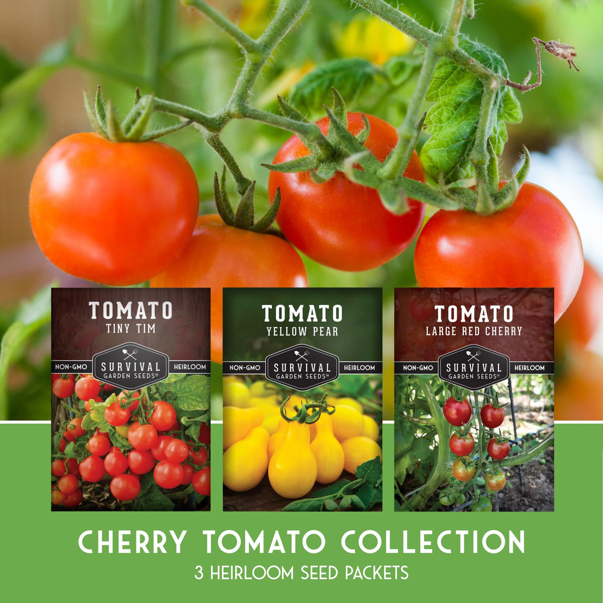 Tiny Tim cherry tomato seeds from Survival Garden Seeds for compact container gardening