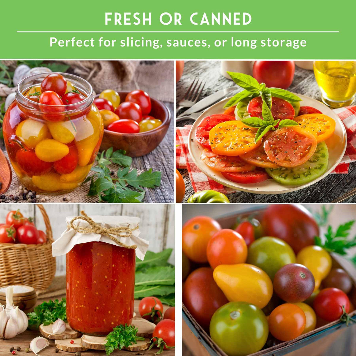 SURVIVAL GARDEN SEEDS Red Brandywine tomato—classic beefsteak flavor for sandwiches and fresh salads.
