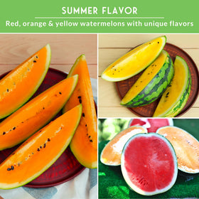 SURVIVAL GARDEN SEEDS Seed packets ready for planning your first watermelon patch.