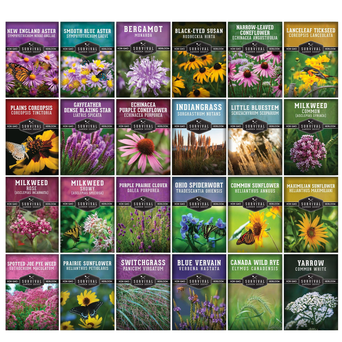 SURVIVAL GARDEN SEEDS wildflower field bloom closeup—rich colors inviting bees and butterflies