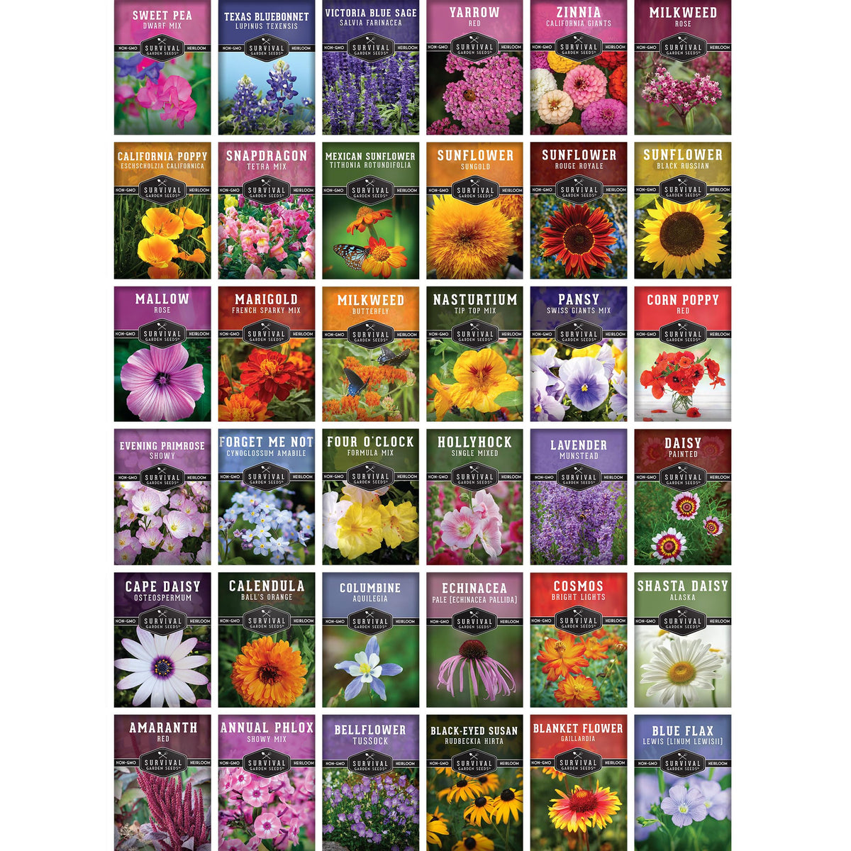 Survival Garden Seeds wildflowers creating a pollinator habitat with bees and butterflies