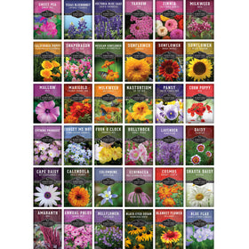 Survival Garden Seeds wildflowers creating a pollinator habitat with bees and butterflies